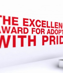Red Cross – Excellence Awards