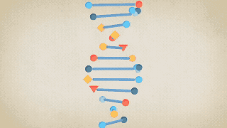 DNA for DYT